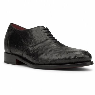 CMR CHAMARIPA Zapatos de Hombre con Altura | Zapatos Oxford de Cuero de Avestruz Negro 7 CM