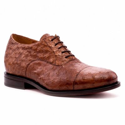 CMR CHAMARIPA Zapatos para Hombres Bajos | Zapatos Oxford de Cuero de Avestruz Marrón 7 CM