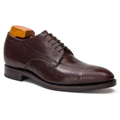 CMR CHAMARIPA Zapatos elevadores para hombre | Zapatos Derby marrones de piel de lagarto 7 CM